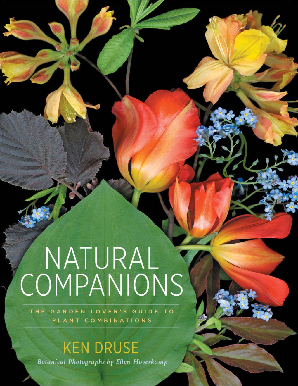 Cover of Natural Companions