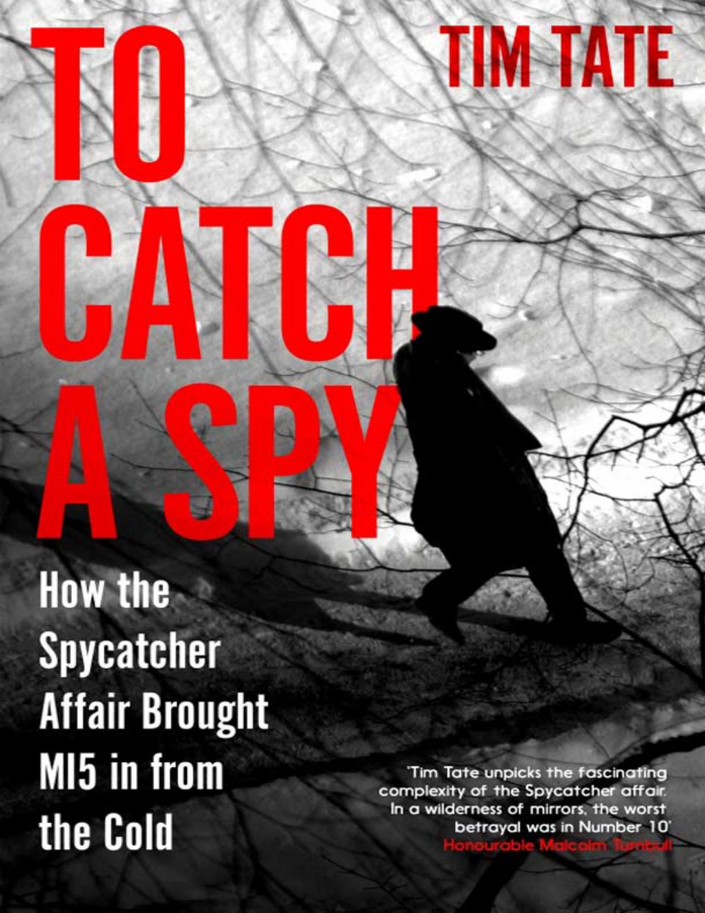 Cover of To Catch a Spy