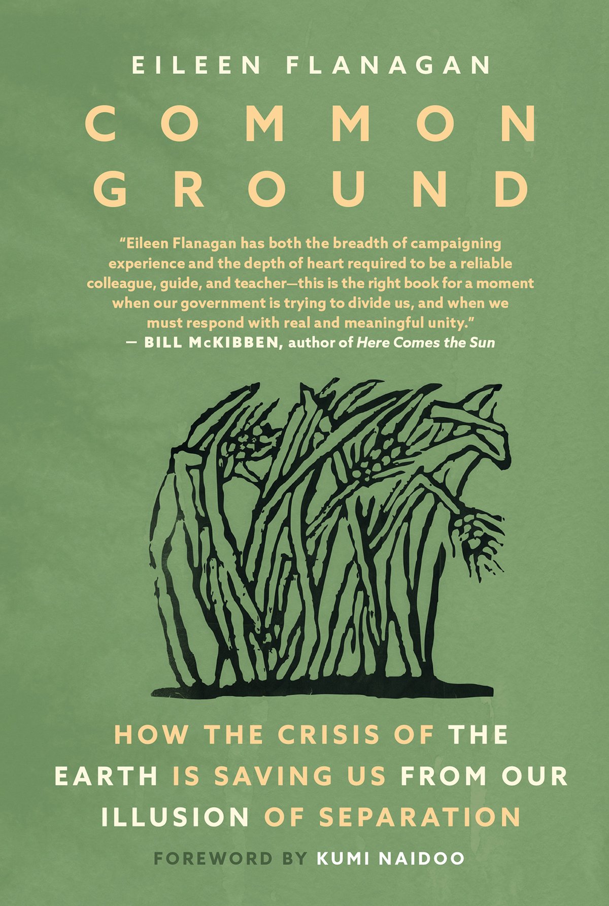 Cover of Common Ground (1985)
