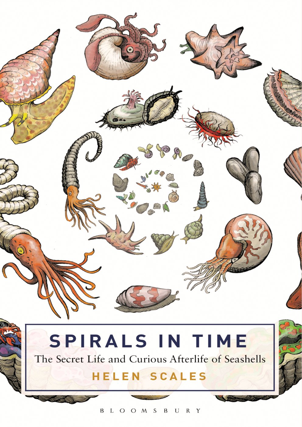 Cover of Spirals in Time