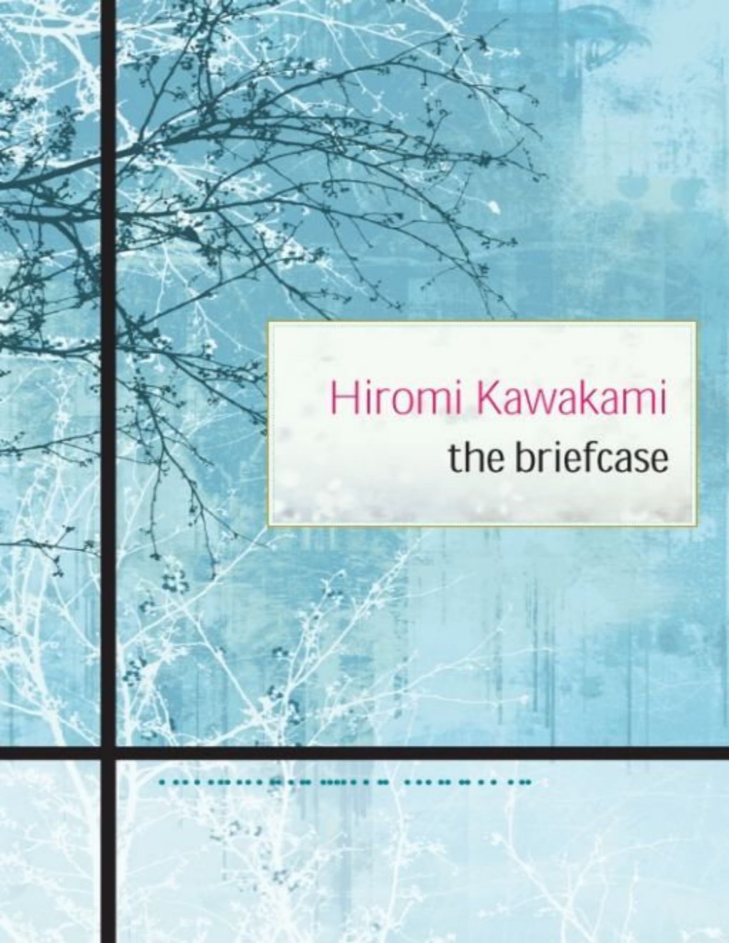 Cover of The Briefcase (1900)