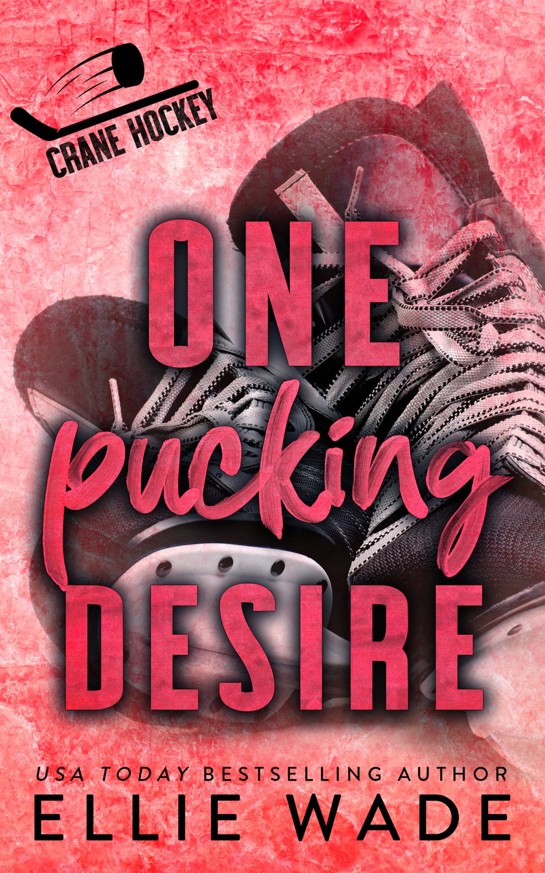 Cover of One Pucking Desire: A Protective Hero Hockey Romance