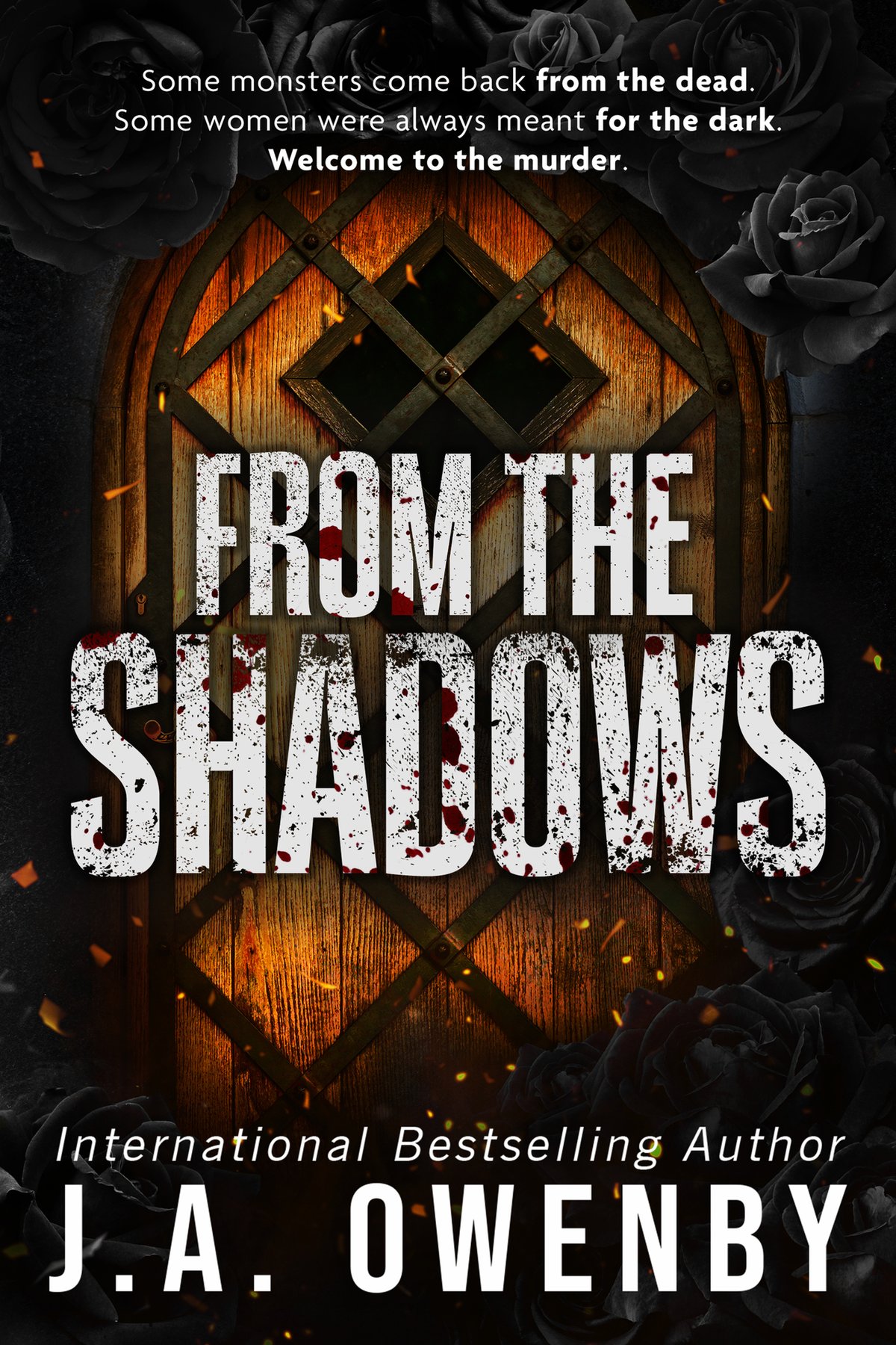 Cover of From the Shadows: A Dark Possessive Romance