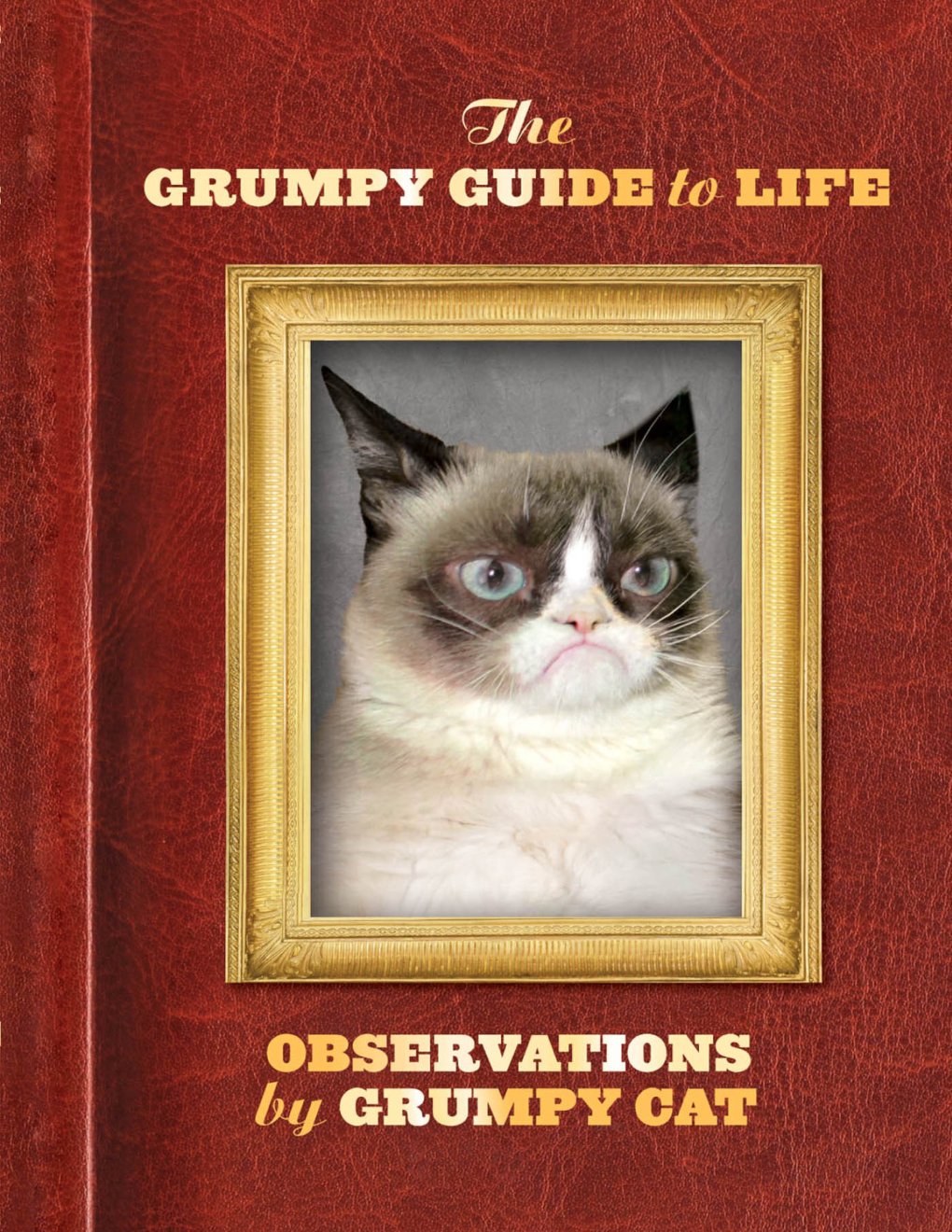 Cover of The Grumpy Guide to Life