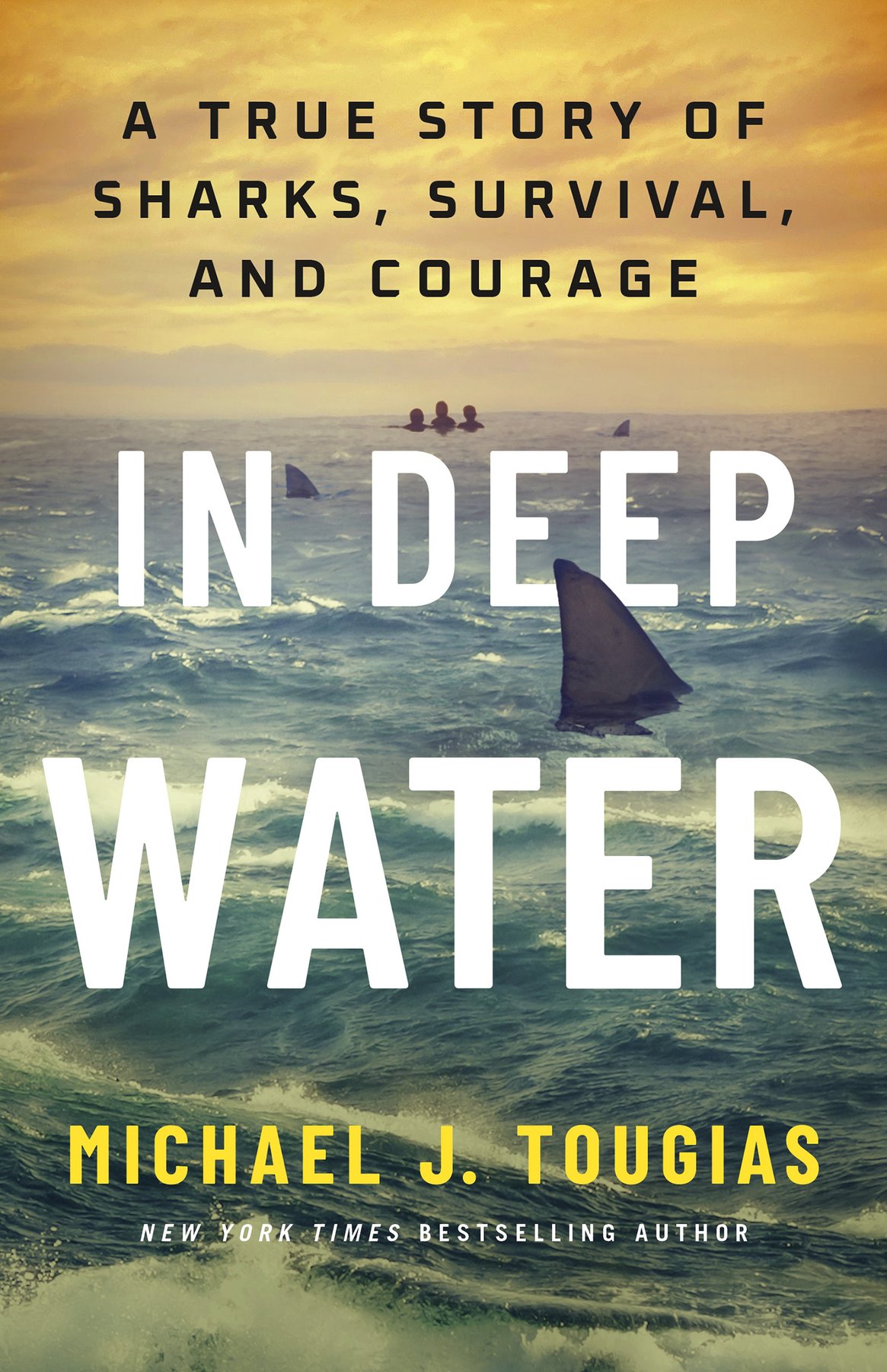 Cover of In Deep Water
