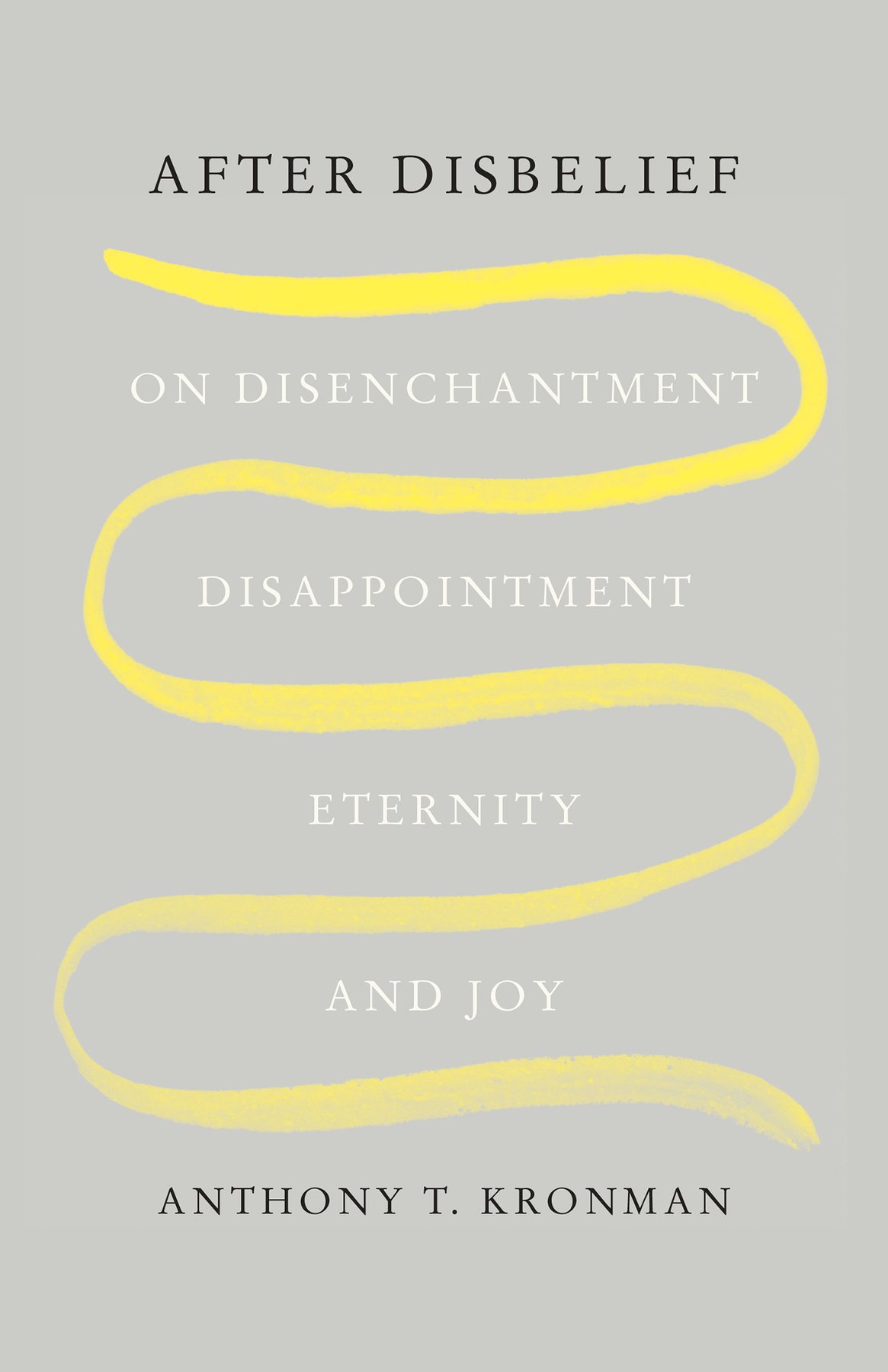 Cover of After Disbelief (1875)