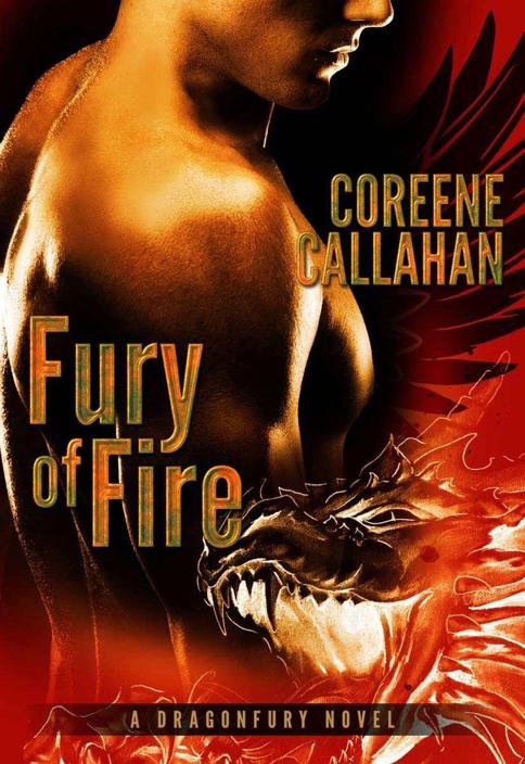 Cover of Fury of Fire (2011)