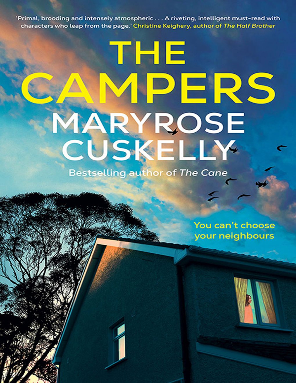 Cover of The Campers