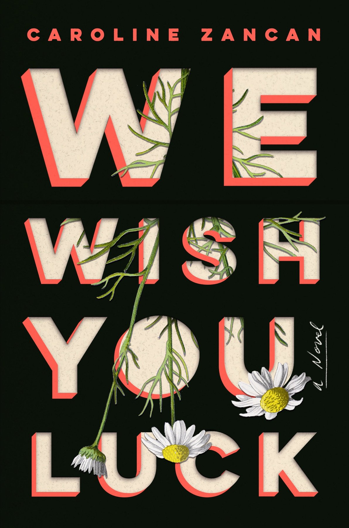 Cover of We Wish You Luck