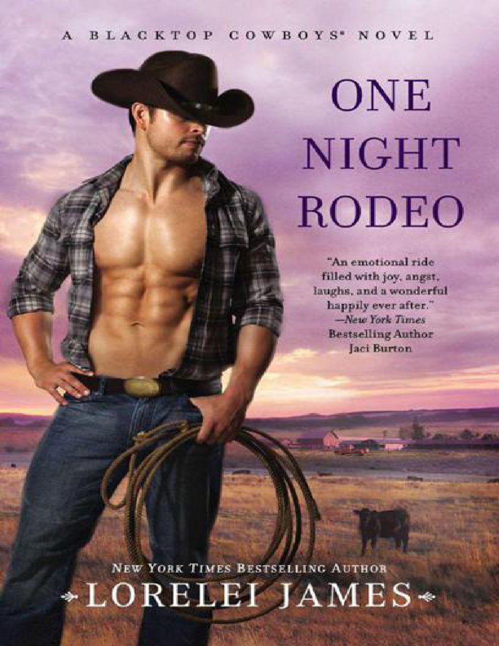 Cover of One Night Rodeo