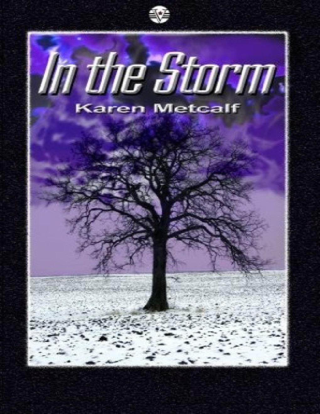 Cover of In the Storm (2011)