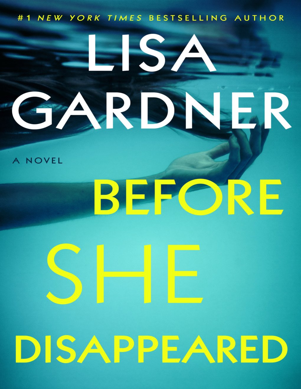 Cover of Before She Disappeared: A Novel