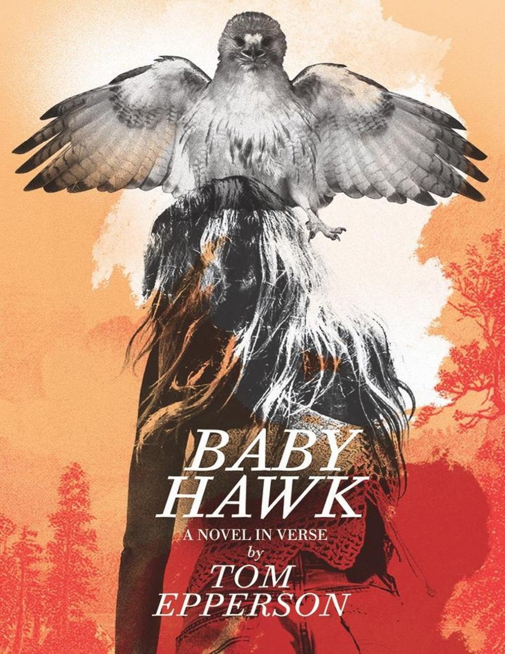 Cover of Baby Hawk