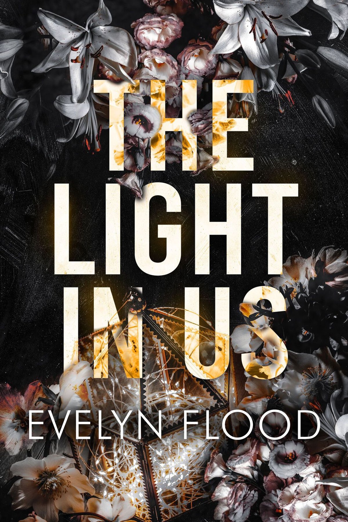 Cover of The Light in Us (2024)