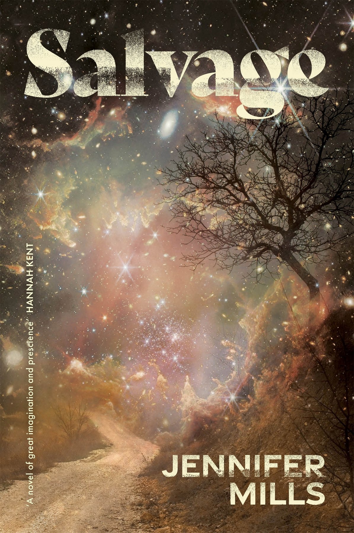 Cover of Salvage (2025)