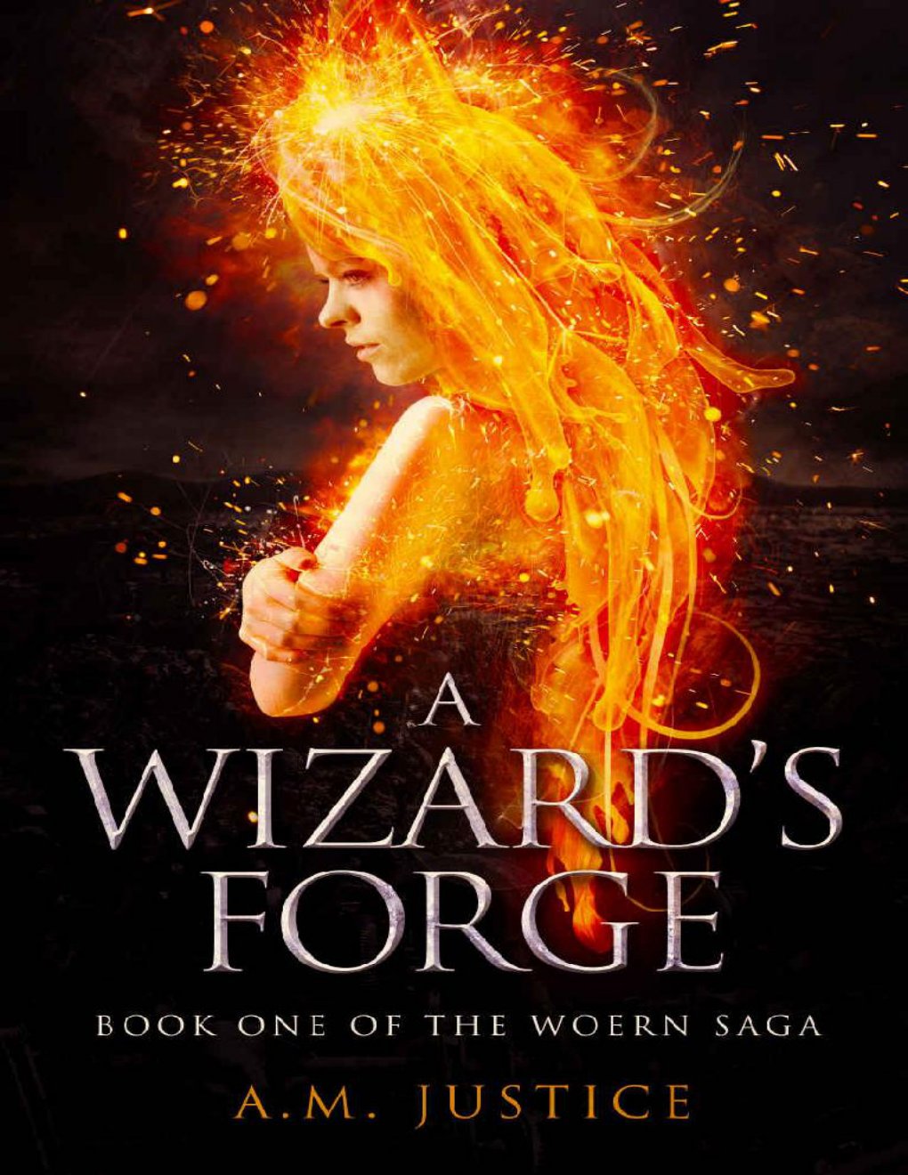 Cover of A Wizard's Forge (2017)