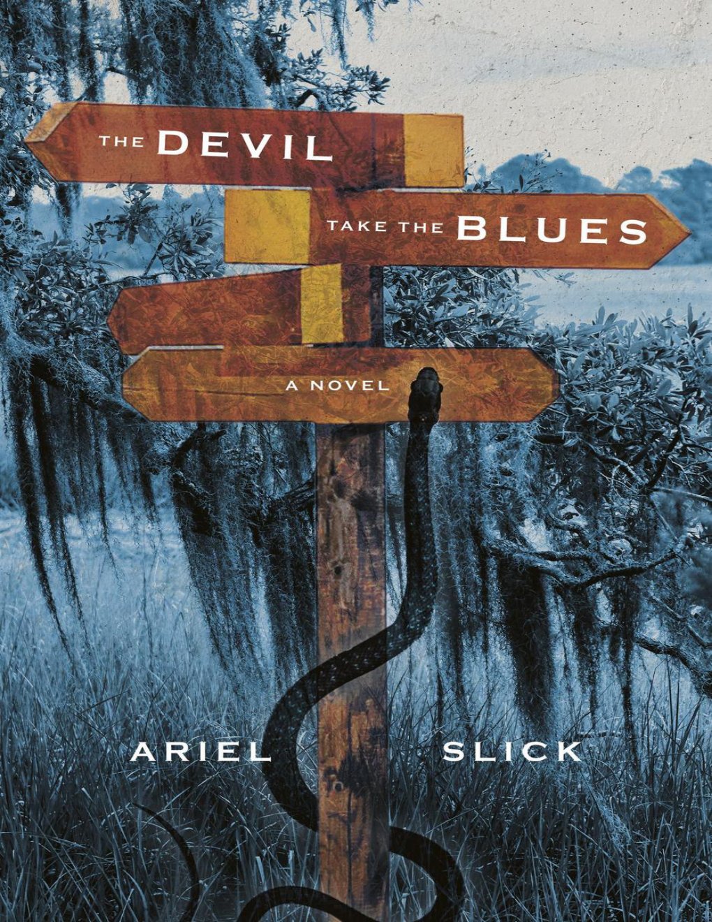 Cover of The Devil Take the Blues