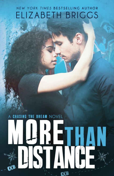 Cover of More than distance (2013)