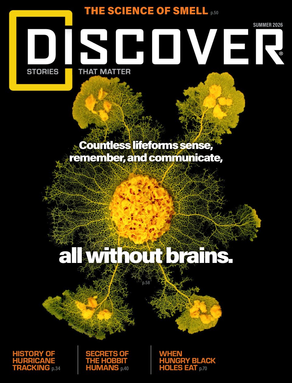 Cover of all without brains