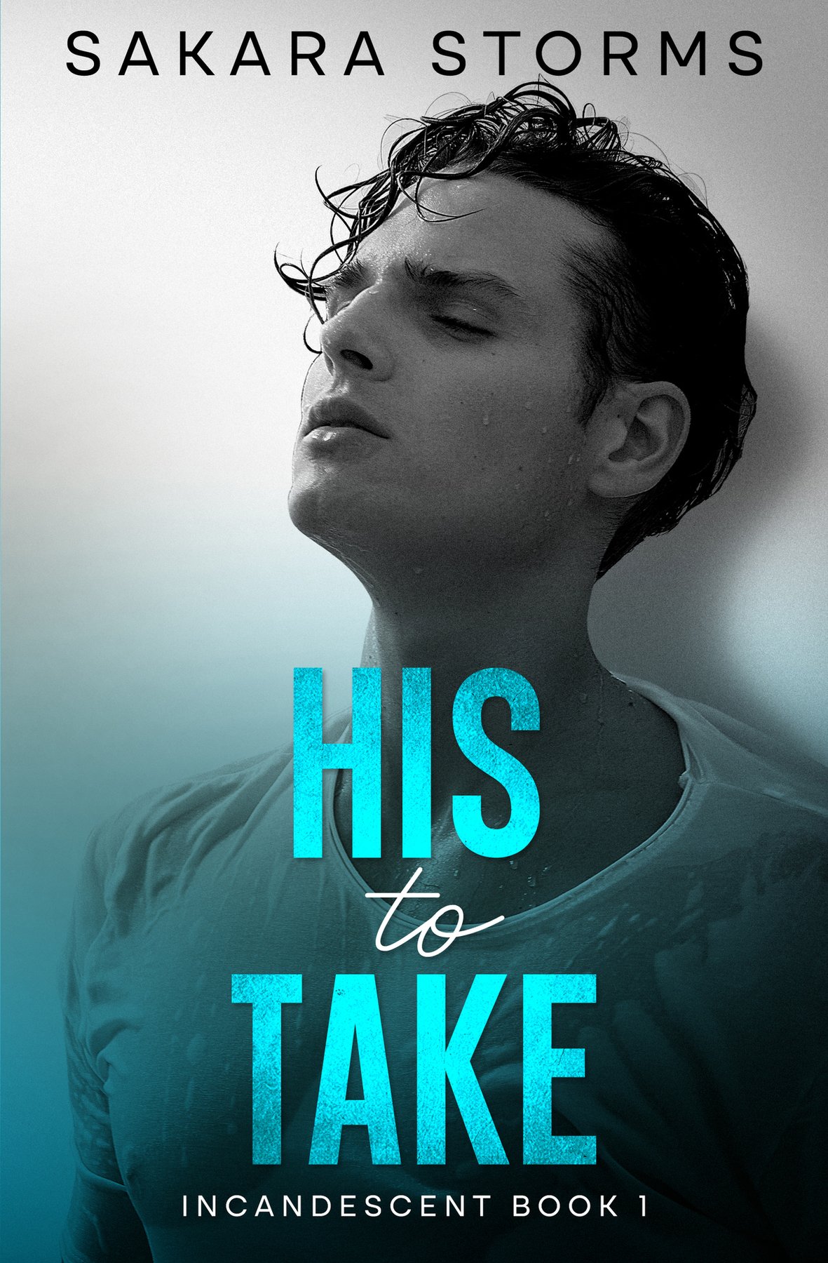 Cover of His to Take: Steamy MM Romance (INCANDESCENT Book 1)