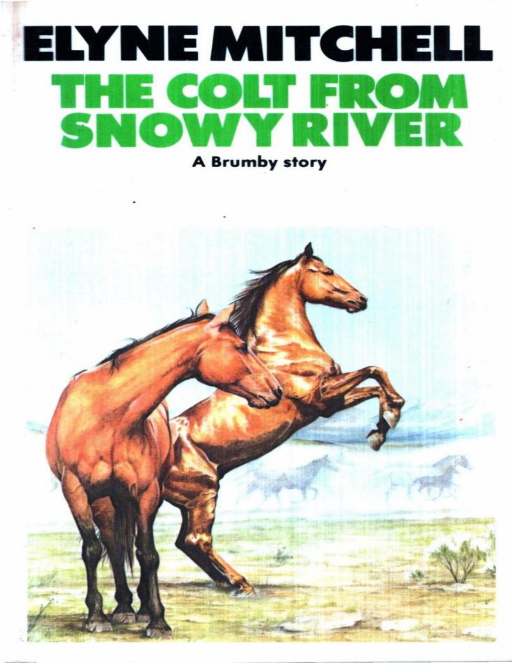 Cover of The Colt From Snowy River