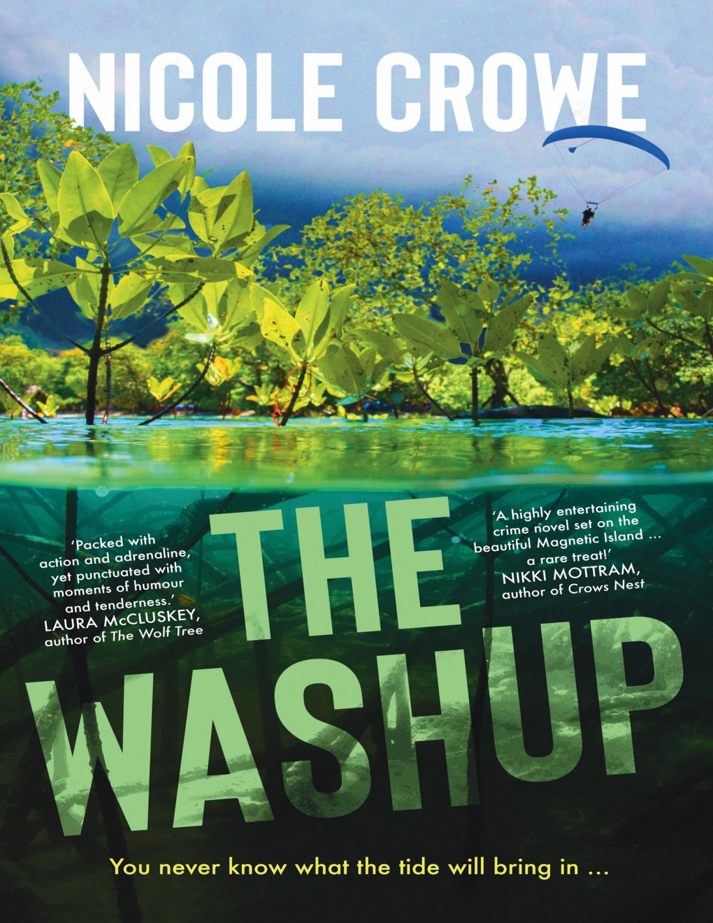 Cover of The Washup