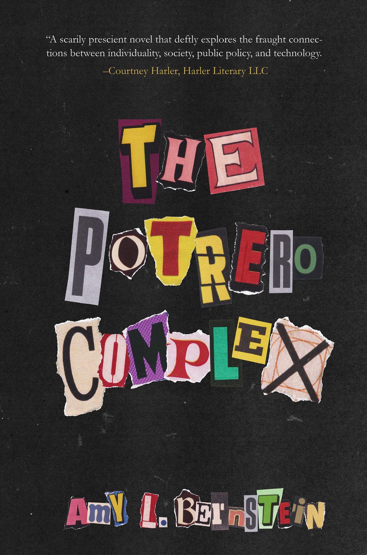 Cover of The Potrero Complex (2002)