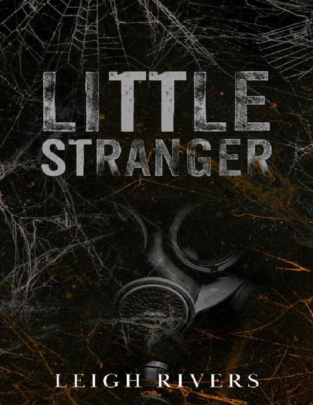 Cover of Little Stranger: A Dark Taboo Romance