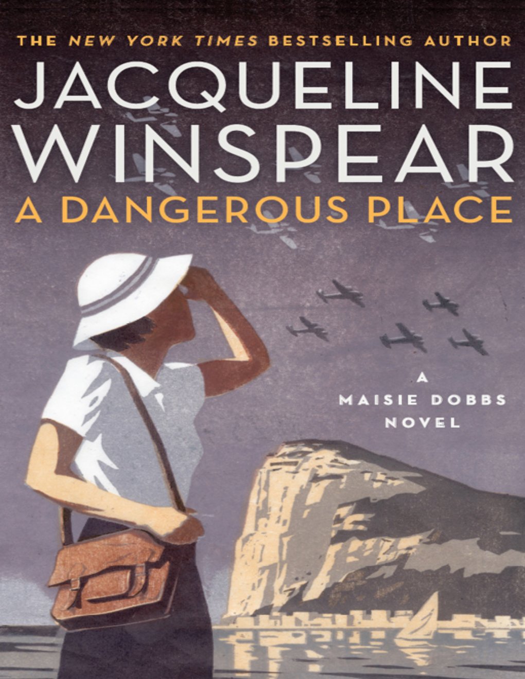 Cover of A Dangerous Place