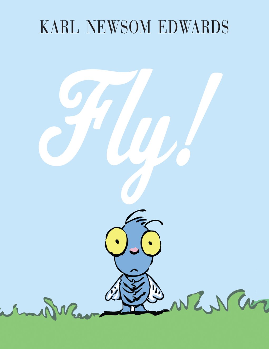 Cover of Fly!