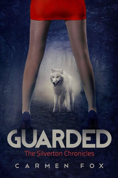 Cover of Guarded (2015)