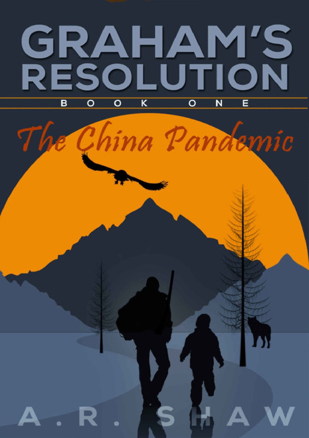 Cover of The China Pandemic (2013)