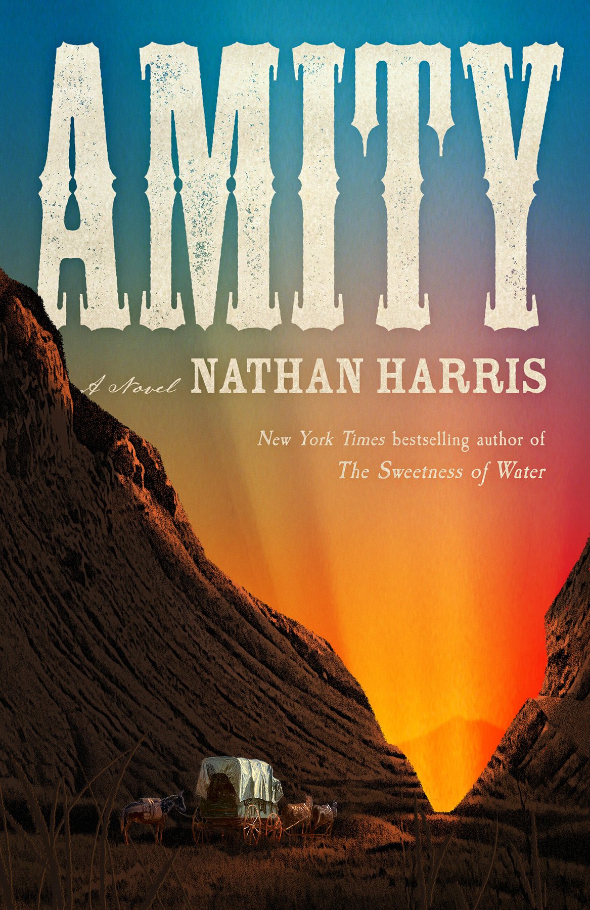 Cover of Amity
