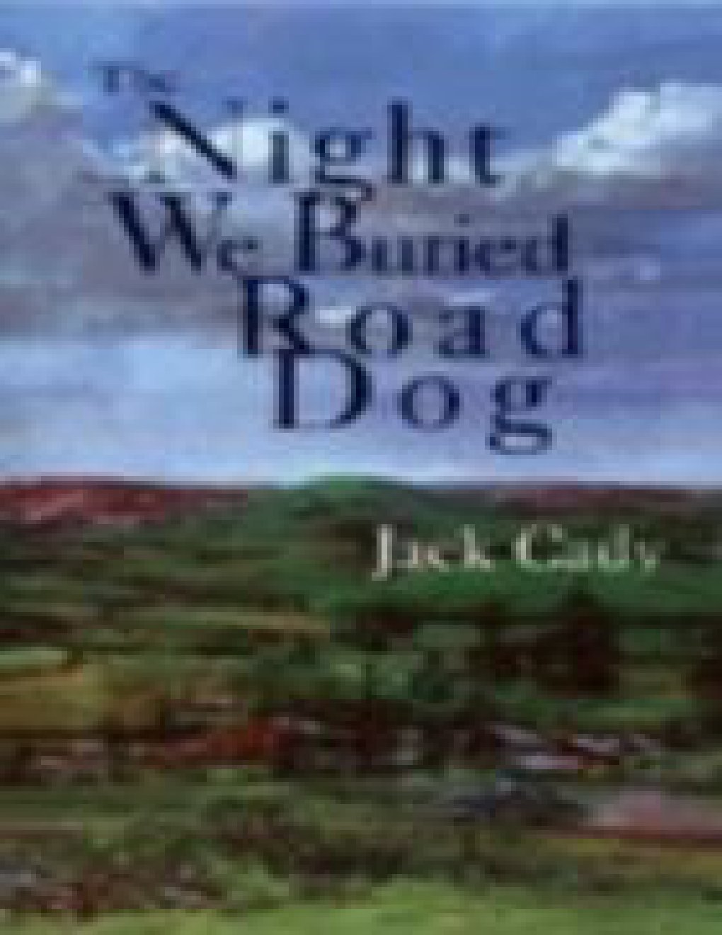 Cover of The Night We Buried Road Dog