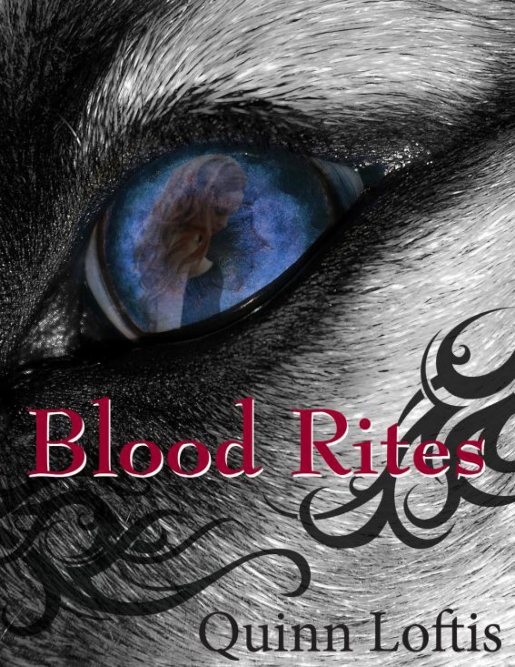 Cover of Blood Rites