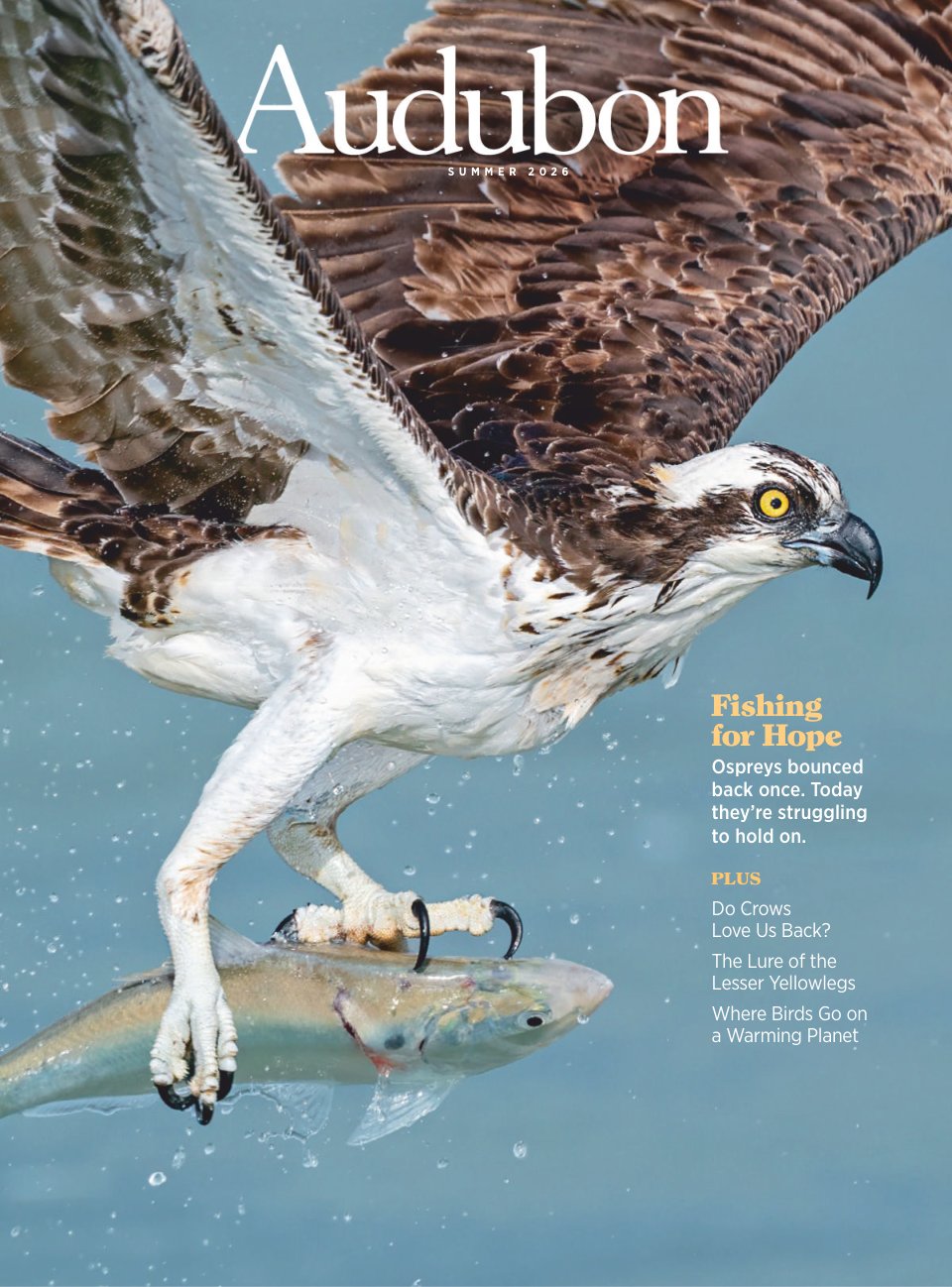 Cover of Fishing