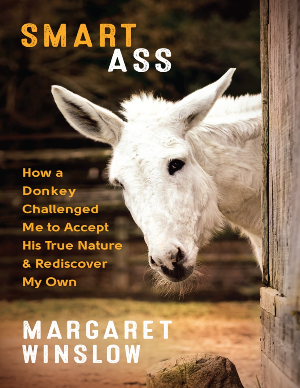 Cover of Smart Ass