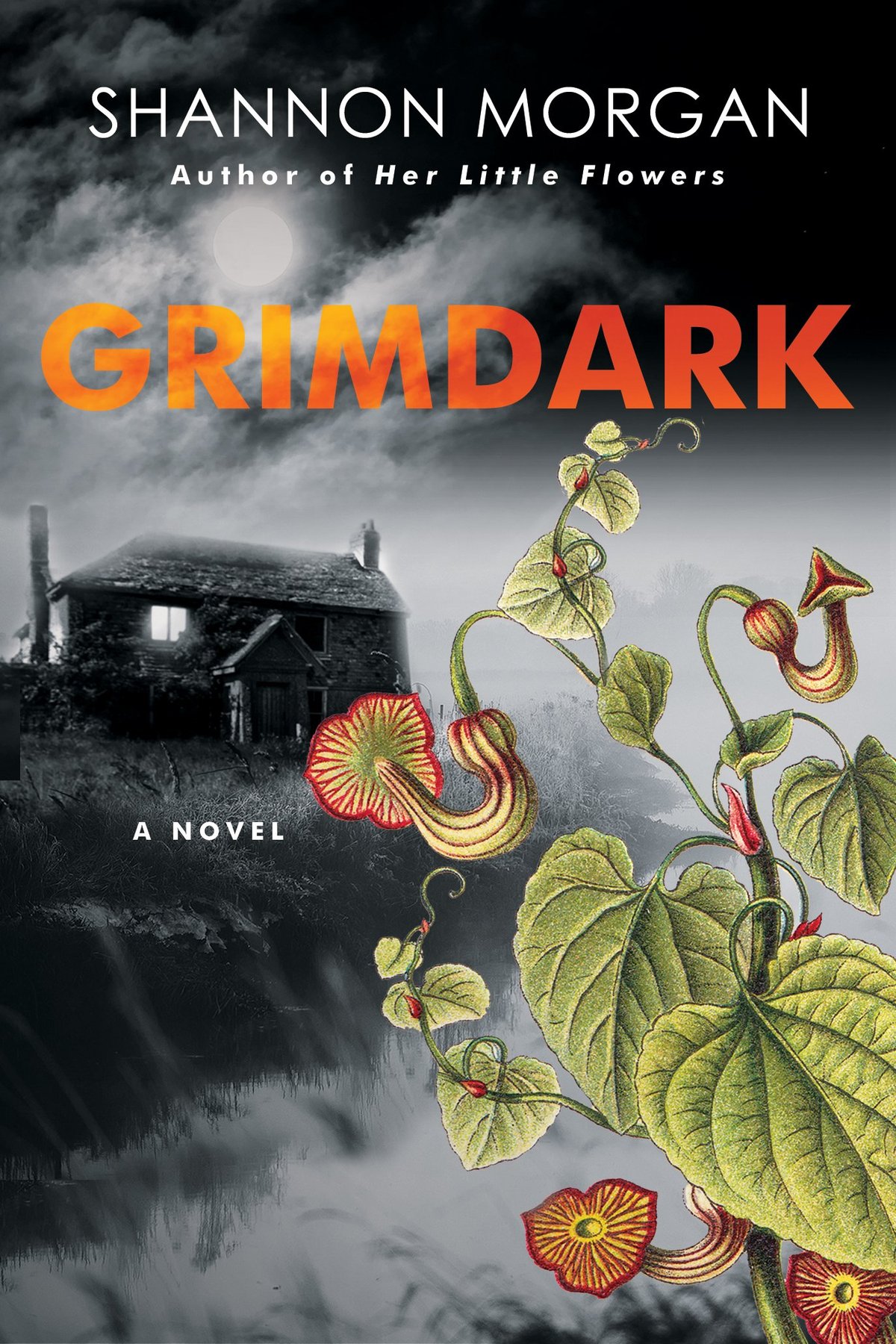 Cover of Grimdark (1645)