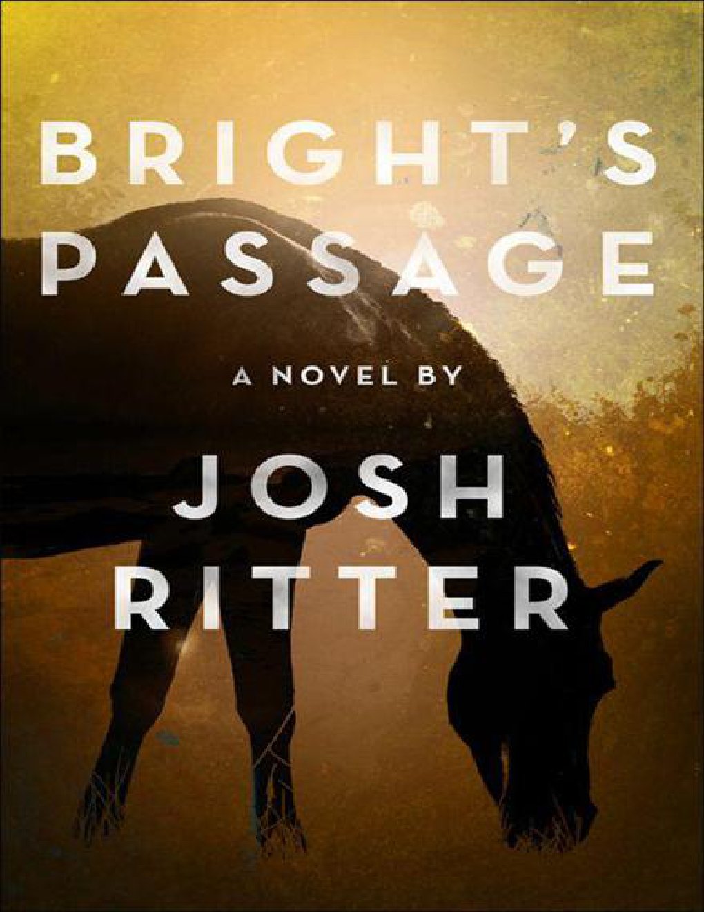 Cover of Bright's Passage: A Novel
