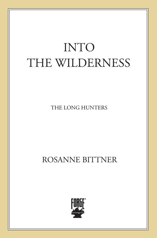 Cover of Into the Wilderness
