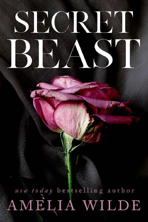 Cover of Secret Beast