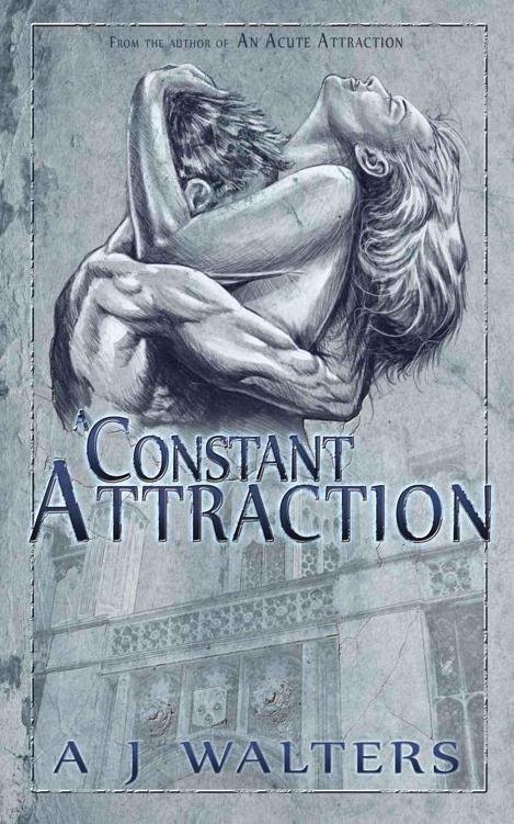 Cover of A Constant Attraction (2003)
