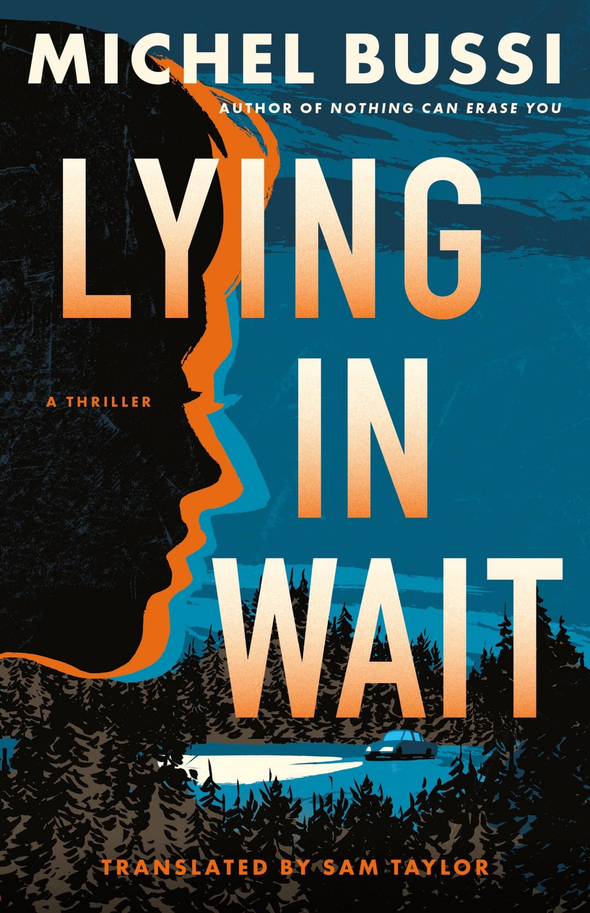 Cover of Lying in Wait- A Thriller (1855)