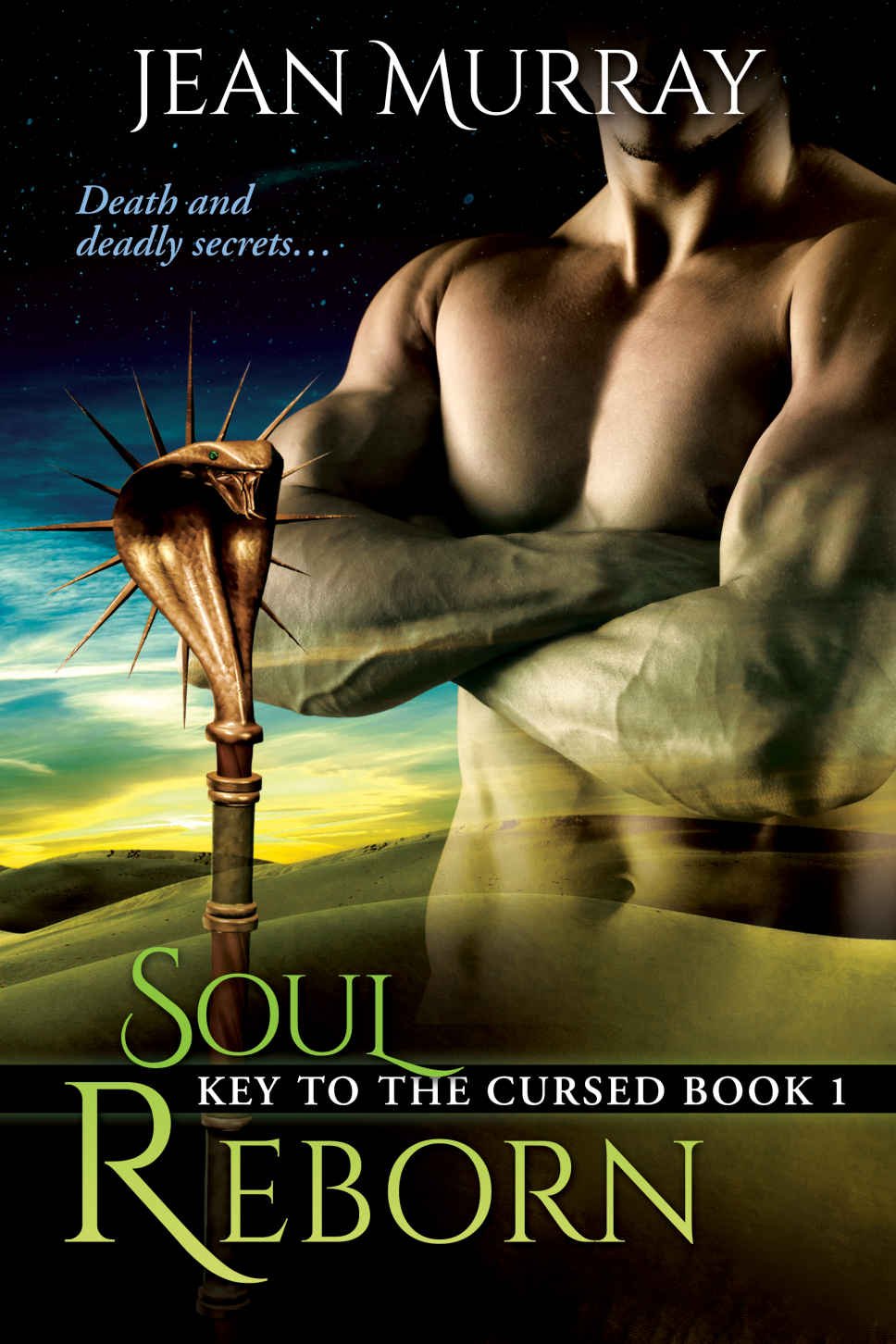 Cover of Soul Reborn (1914)