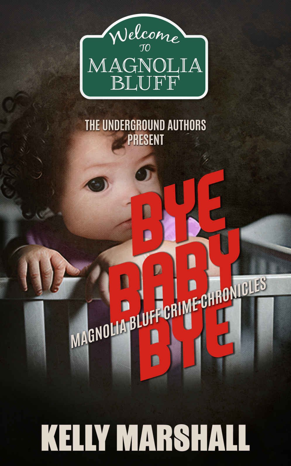 Cover of Bye Baby Bye