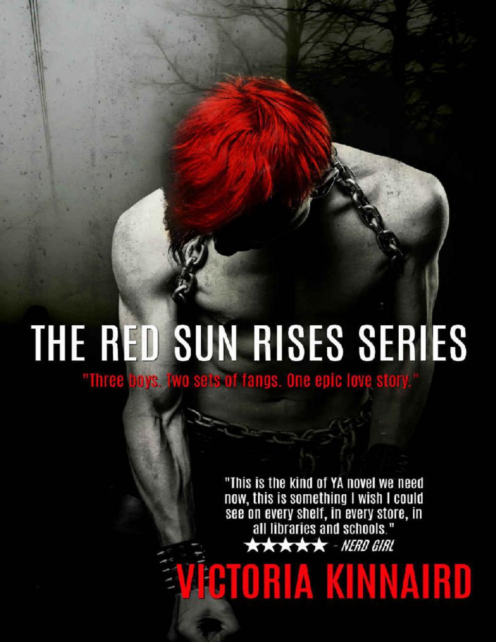 Cover of Red Sun Rises Box Set