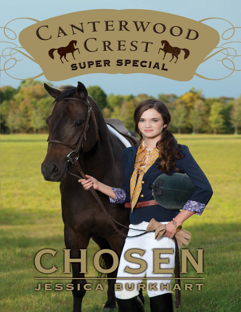 Cover of Chosen