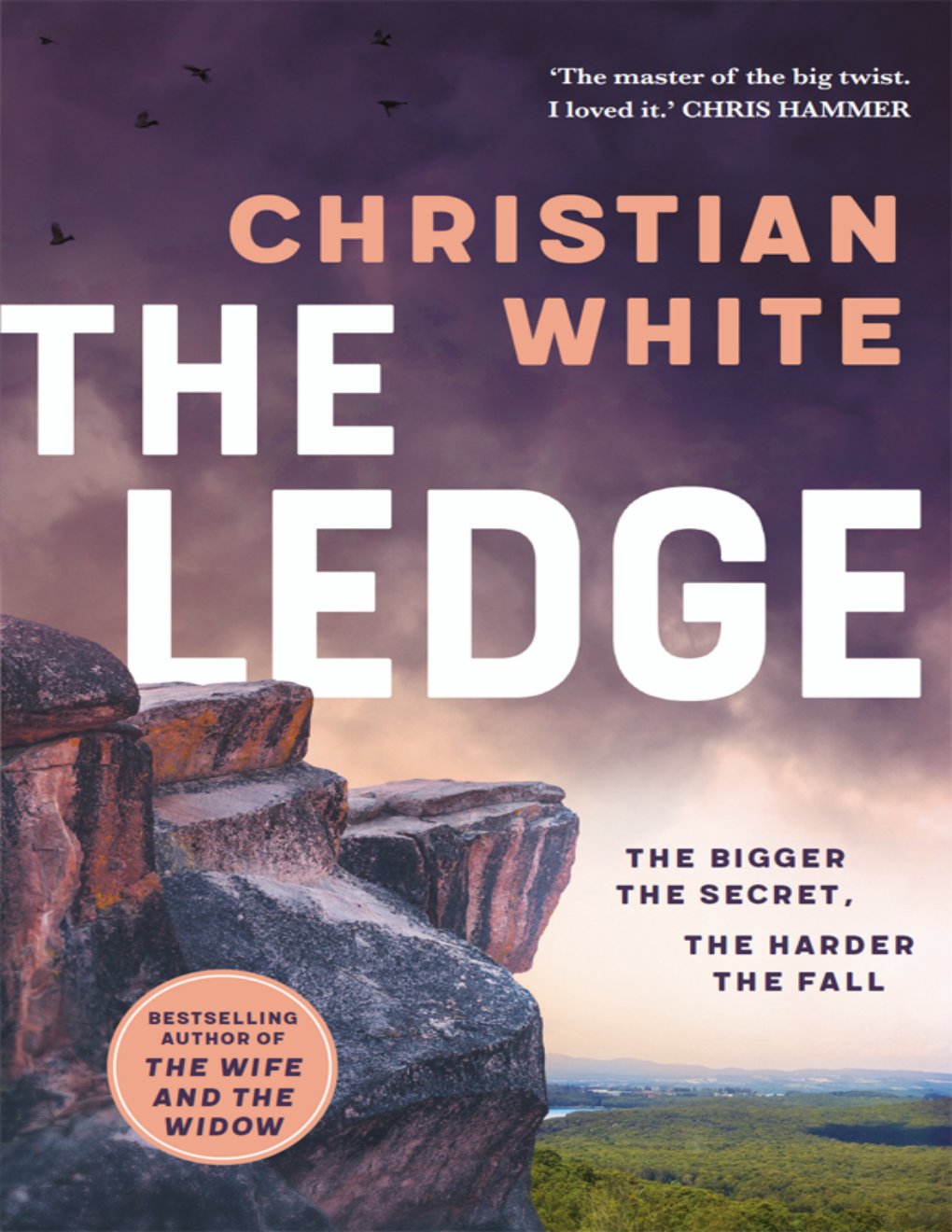 Cover of The Ledge