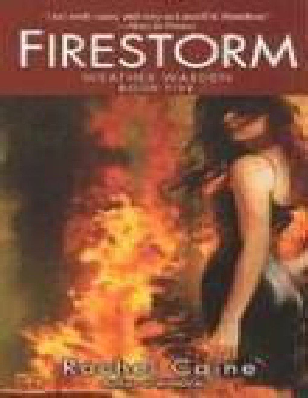 Cover of Firestorm
