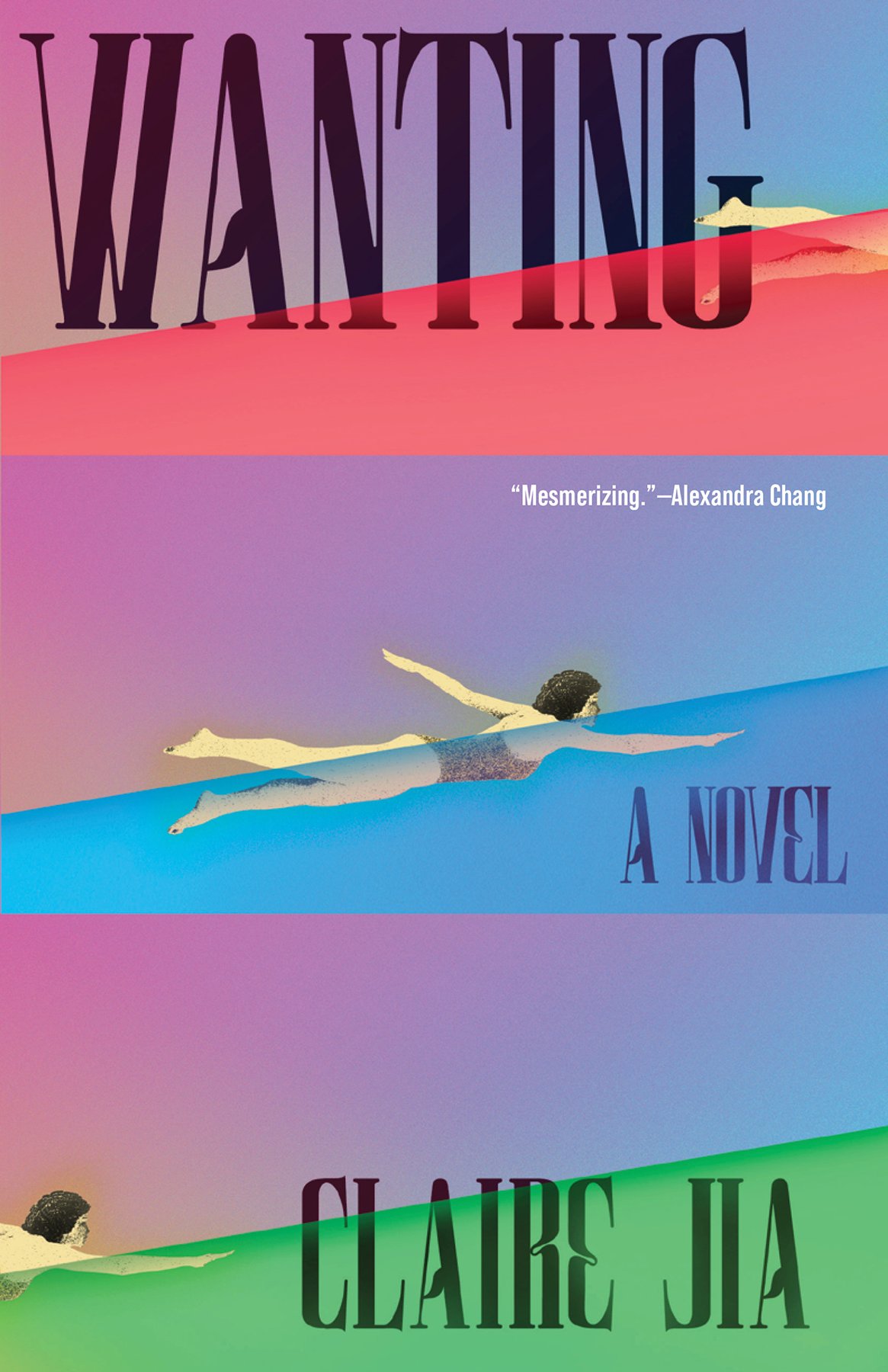 Cover of Wanting
